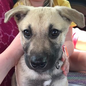 Meet your Posher, Beth